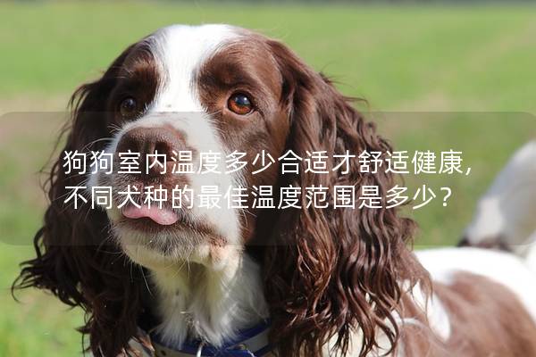 狗狗室內溫度多少合適才舒適健康,不同犬種的最佳溫度范圍是多少？