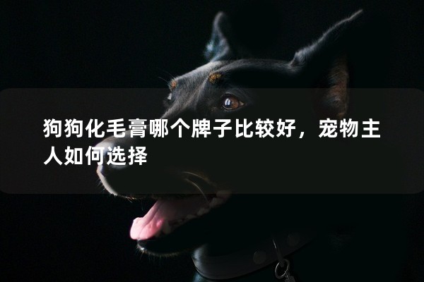 狗狗化毛膏哪個牌子比較好，寵物主人如何選擇