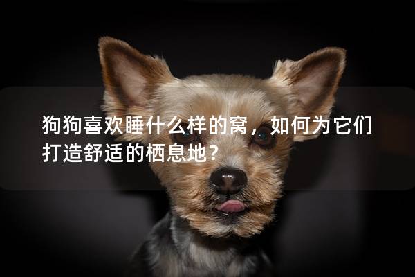 狗狗喜歡睡什么樣的窩，如何為它們打造舒適的棲息地？