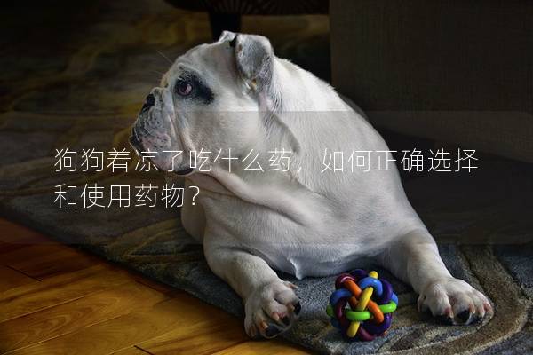 狗狗著涼了吃什么藥，如何正確選擇和使用藥物？