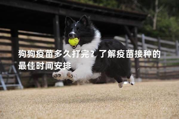 狗狗疫苗多久打完？了解疫苗接種的最佳時間安排