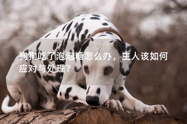 狗狗吃了泡泡糖怎么辦，主人該如何應對與處理？