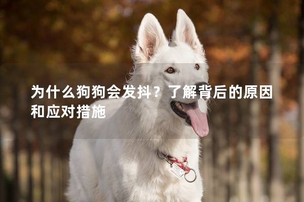 為什么狗狗會發抖？了解背后的原因和應對措施