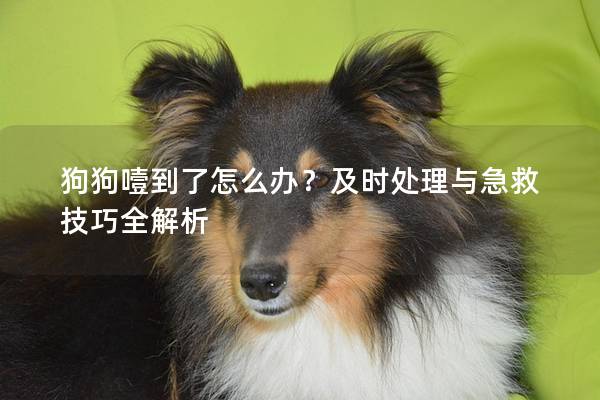 狗狗噎到了怎么辦？及時處理與急救技巧全解析