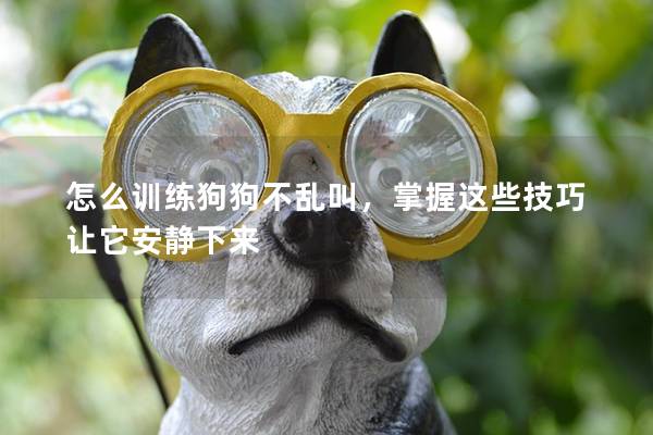怎么訓練狗狗不亂叫，掌握這些技巧讓它安靜下來