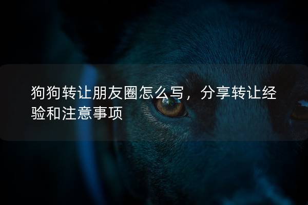 狗狗轉(zhuǎn)讓朋友圈怎么寫，分享轉(zhuǎn)讓經(jīng)驗和注意事項
