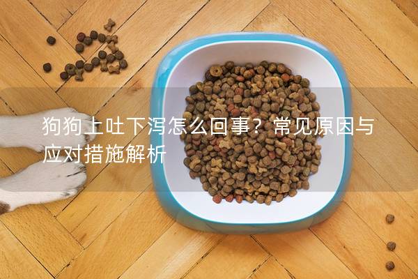 狗狗上吐下瀉怎么回事？常見原因與應對措施解析