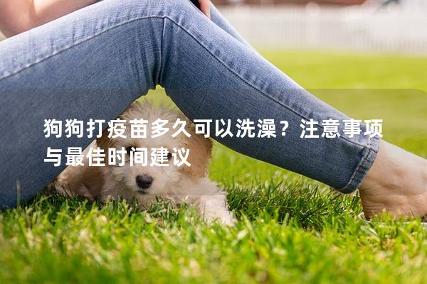 狗狗打疫苗多久可以洗澡？注意事項(xiàng)與最佳時(shí)間建議
