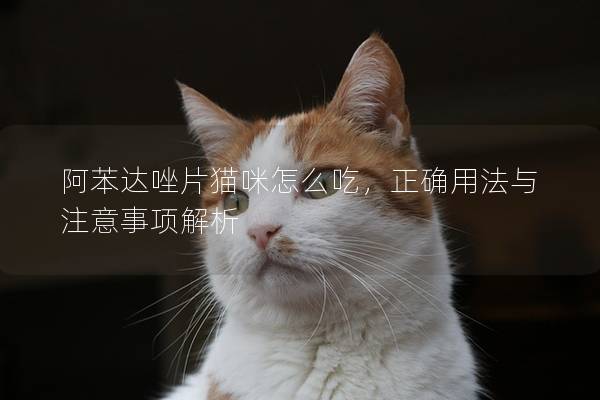阿苯達唑片貓咪怎么吃，正確用法與注意事項解析