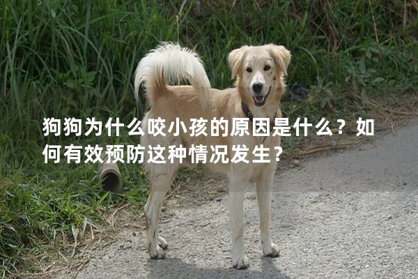 狗狗為什么咬小孩的原因是什么？如何有效預(yù)防這種情況發(fā)生？