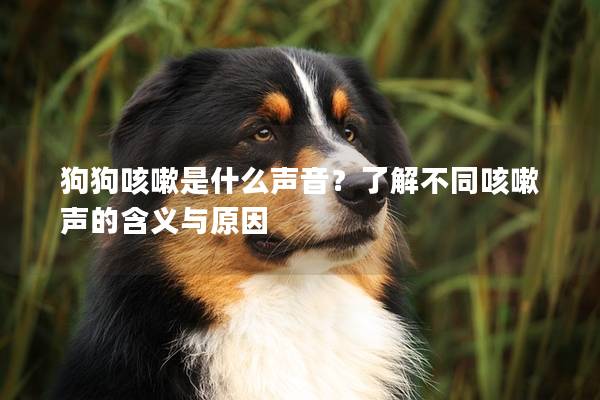 狗狗咳嗽是什么聲音？了解不同咳嗽聲的含義與原因