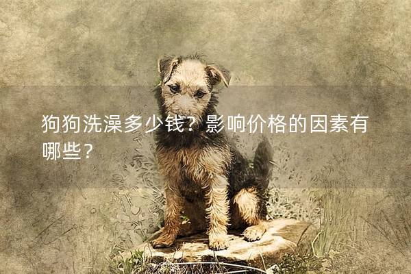狗狗洗澡多少錢？影響價格的因素有哪些？