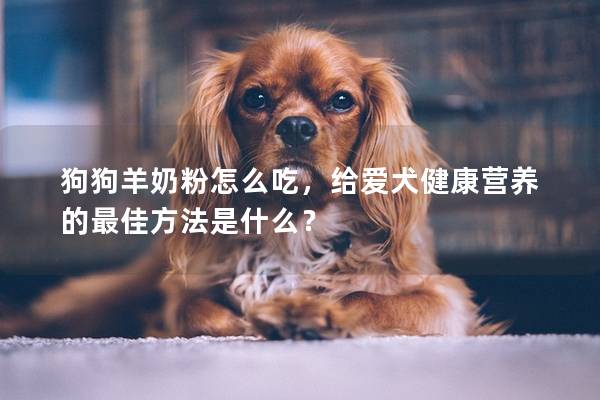 狗狗羊奶粉怎么吃，給愛犬健康營養(yǎng)的最佳方法是什么？