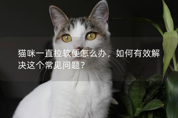 貓咪一直拉軟便怎么辦，如何有效解決這個常見問題？