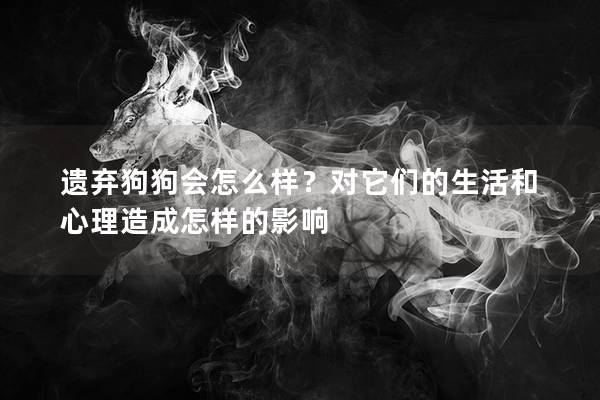 遺棄狗狗會怎么樣？對它們的生活和心理造成怎樣的影響