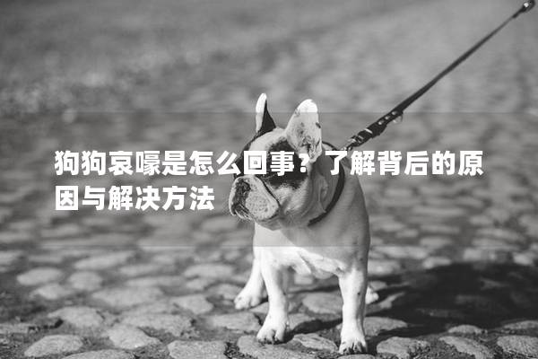 狗狗哀嚎是怎么回事？了解背后的原因與解決方法