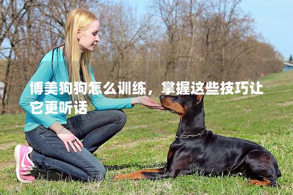 博美狗狗怎么訓練，掌握這些技巧讓它更聽話