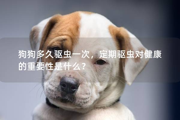 狗狗多久驅蟲一次，定期驅蟲對健康的重要性是什么？