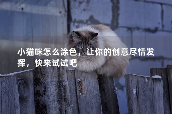 小貓咪怎么涂色，讓你的創意盡情發揮，快來試試吧