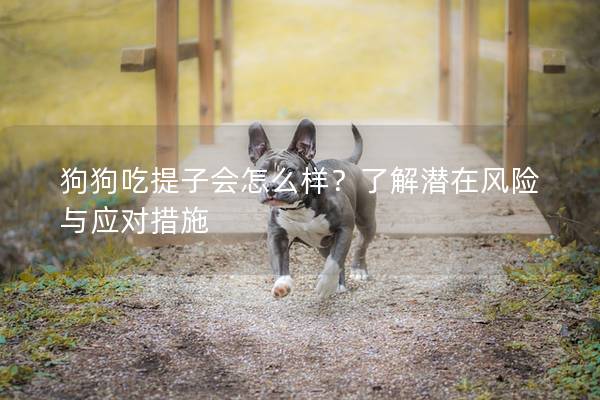 狗狗吃提子會怎么樣？了解潛在風險與應對措施