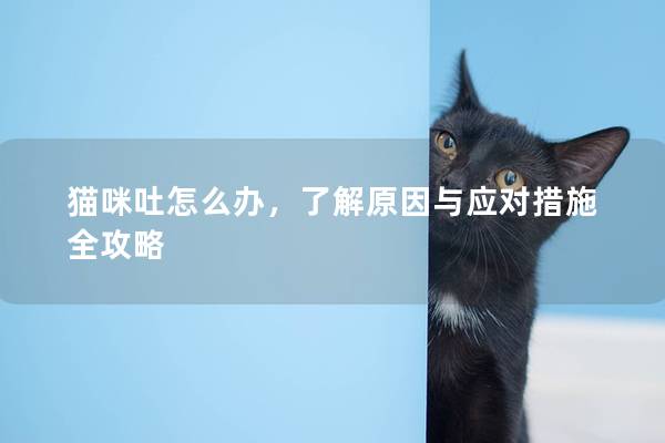 貓咪吐怎么辦，了解原因與應對措施全攻略