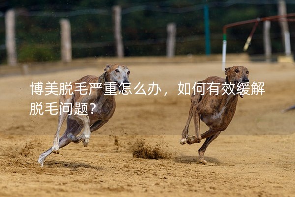 博美脫毛嚴重怎么辦，如何有效緩解脫毛問題？