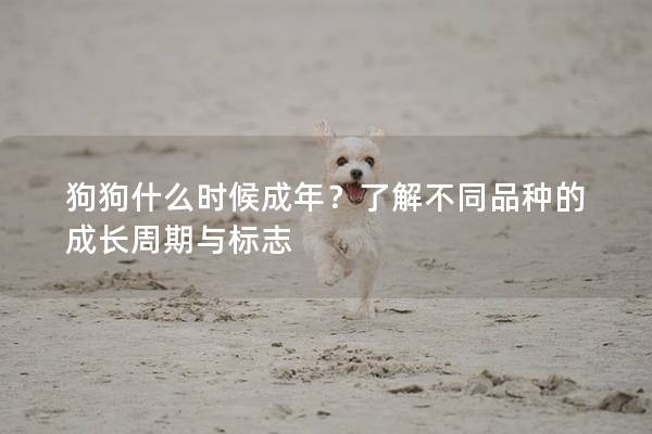 狗狗什么時(shí)候成年？了解不同品種的成長(zhǎng)周期與標(biāo)志