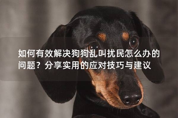 如何有效解決狗狗亂叫擾民怎么辦的問題？分享實用的應對技巧與建議