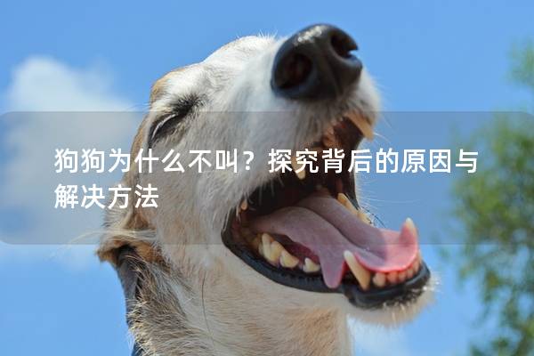 狗狗為什么不叫？探究背后的原因與解決方法