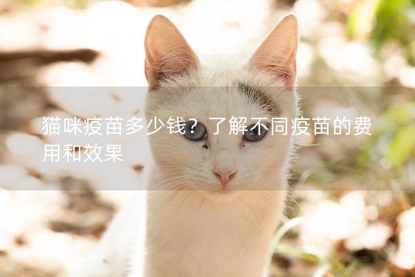 貓咪疫苗多少錢？了解不同疫苗的費用和效果