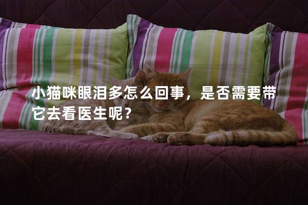 小貓咪眼淚多怎么回事，是否需要帶它去看醫生呢？