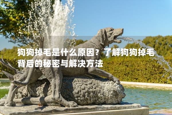 狗狗掉毛是什么原因?了解狗狗掉毛背后的秘密與解決方法