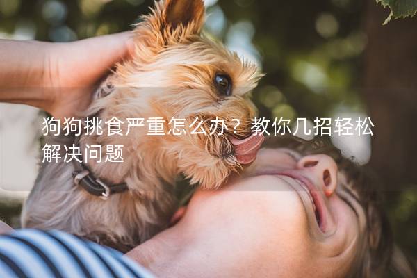 狗狗挑食嚴重怎么辦？教你幾招輕松解決問題