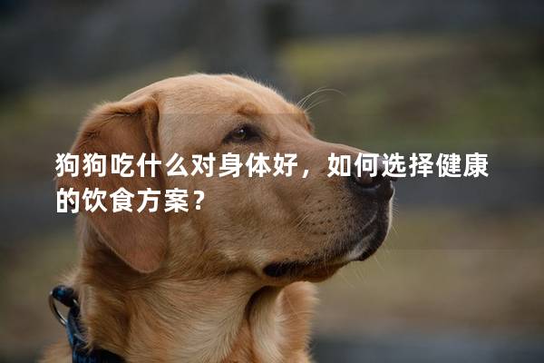 狗狗吃什么對(duì)身體好，如何選擇健康的飲食方案？