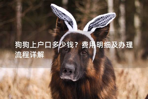 狗狗上戶口多少錢？費用明細及辦理流程詳解