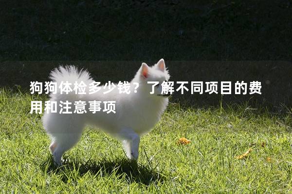 狗狗體檢多少錢？了解不同項目的費用和注意事項