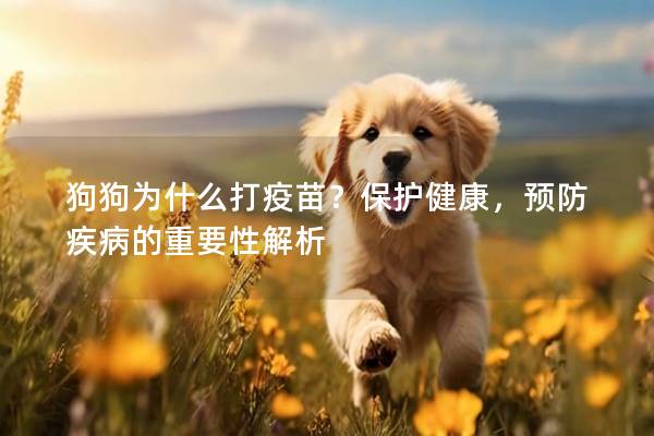 狗狗為什么打疫苗？保護健康，預防疾病的重要性解析