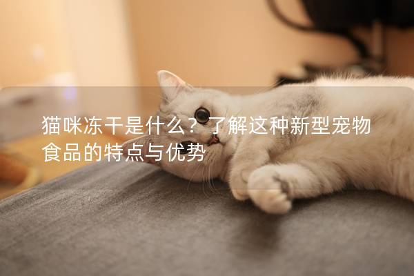 貓咪凍干是什么？了解這種新型寵物食品的特點與優勢