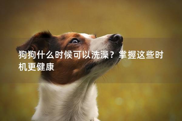 狗狗什么時候可以洗澡?掌握這些時機更健康 狗狗什么時候可以洗澡?掌握這些時機更健康