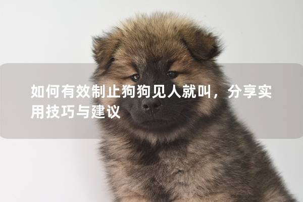 如何有效制止狗狗見人就叫，分享實用技巧與建議