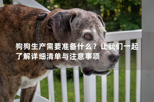 狗狗生產需要準備什么？讓我們一起了解詳細清單與注意事項