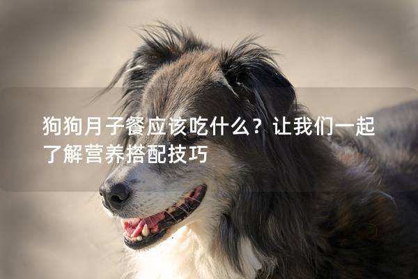 狗狗月子餐應(yīng)該吃什么？讓我們一起了解營(yíng)養(yǎng)搭配技巧
