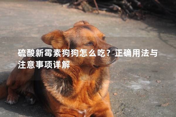 硫酸新霉素狗狗怎么吃？正確用法與注意事項詳解