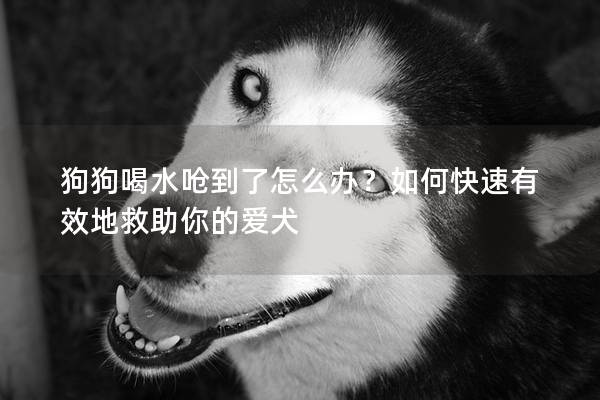 狗狗喝水嗆到了怎么辦？如何快速有效地救助你的愛犬