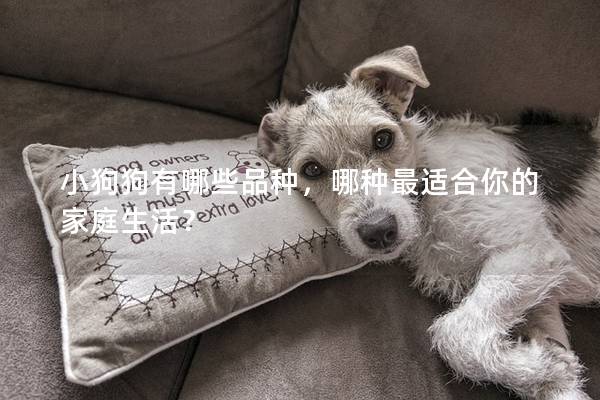 小狗狗有哪些品種，哪種最適合你的家庭生活？