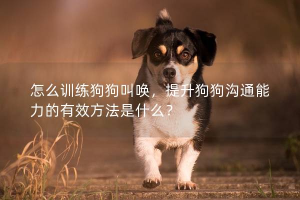 怎么訓練狗狗叫喚，提升狗狗溝通能力的有效方法是什么？