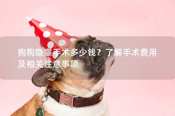 狗狗隱睪手術多少錢？了解手術費用及相關注意事項