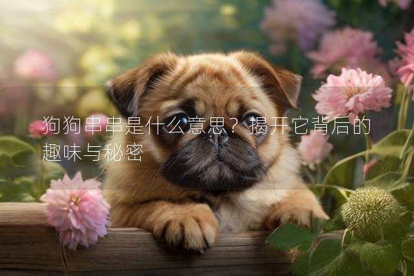 狗狗串串是什么意思？揭開它背后的趣味與秘密