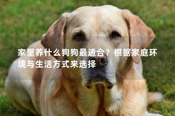 家里養什么狗狗最適合？根據家庭環境與生活方式來選擇
