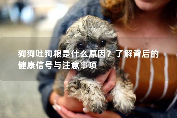狗狗吐狗糧是什么原因？了解背后的健康信號與注意事項